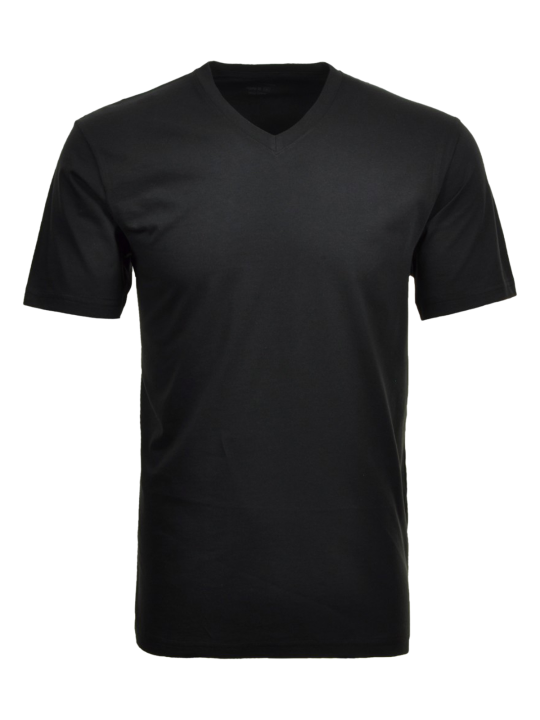 Ragman T-Shirt V-Neck SS Regular Fit 2PK Herren T-Shirt