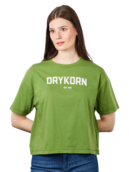 Drykorn Round Neck Lunie T-Shirt Printed Women's T-Shirt
